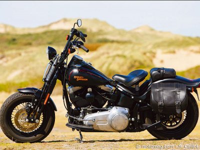 Harley Davidson 1584 Cross Bones : finition à voir