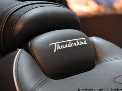 Triumph Thunderbird : sellerie double