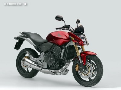 Honda CB F 600 Hornet : protection