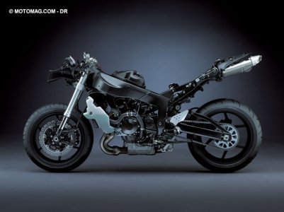 Kawasaki Ninja ZX-6R : pot