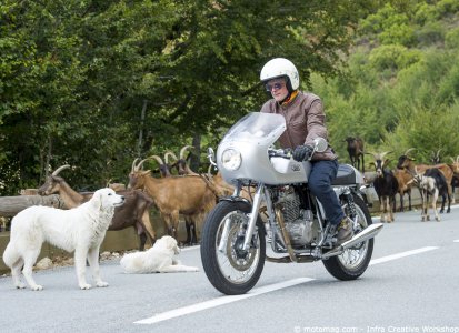 Mash TT40 Café Racer : 30 millions d’amis