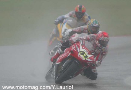 Haga impressionnant sous l’eau