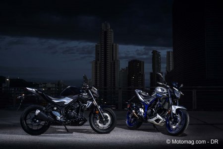 Yamaha MT-03 : noir ou bleu gris