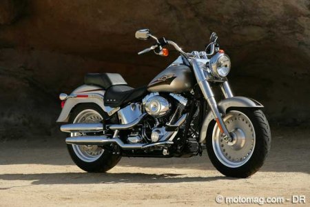 Softail FLSTF Fat Boy : rigidité