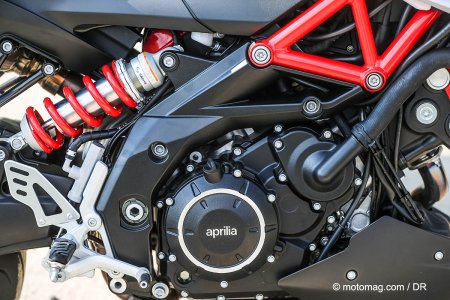 Aprilia Shiver 900 : moteur