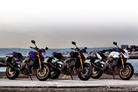 Essai Yamaha FZ8 : coloris et options