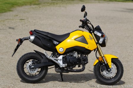Essai Honda 125 MSX : ultra compact