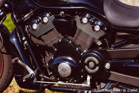Harley Night Rod :moteur