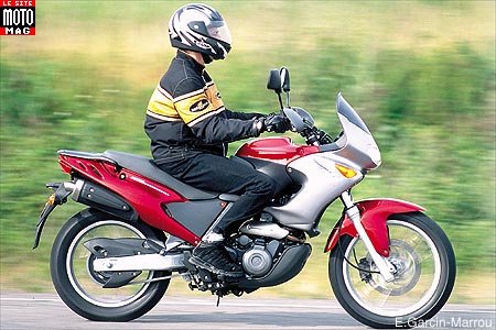 Aprilia 650 Pegaso ie : moteur
