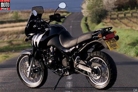 Triumph Tiger 955i : selle