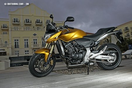 Honda CB F 600 Hornet : Pearl Amber